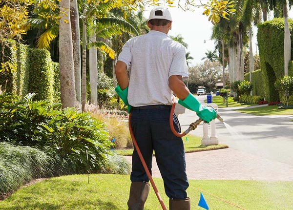 About Pratt KS Pest Control